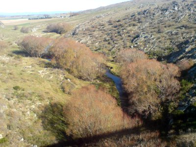 View Southwest From Poolburn Viaduct