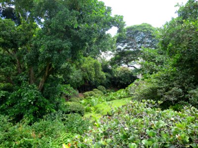 View of Spalding House Japanese stroll garden, (Honolulu)