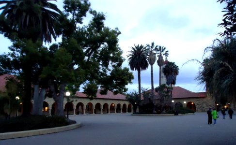 View of Stanford University campus in twilight with palm trees and buildings photo