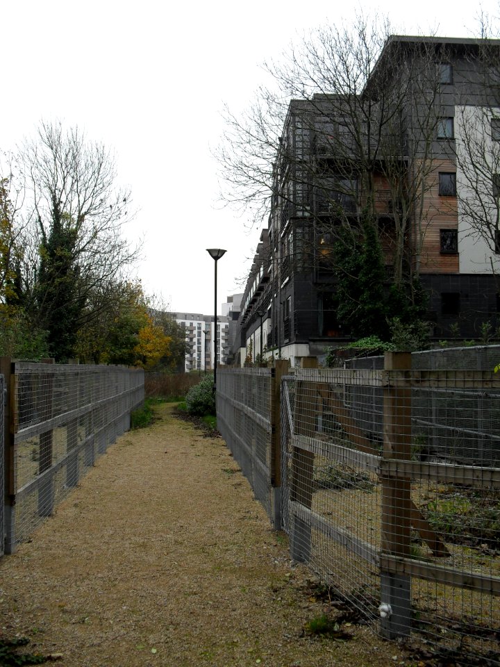 View Southwards along The Greenway, New England Quarter, Brighton (November 2010)