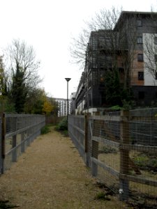 View Southwards along The Greenway, New England Quarter, Brighton (November 2010)