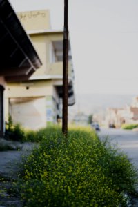 Views in April 2019 around the city center of Shingal 20