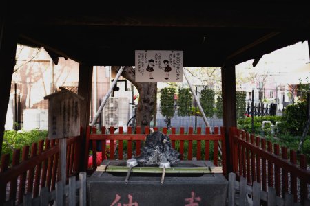 Views in April of 2019 at the Shinto shrine Minami-Senju Wakamiya Hachiman-gu 18