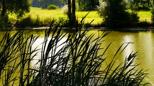 Water landscape nature photo