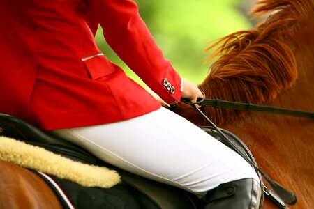 Horse riding seat detail photo