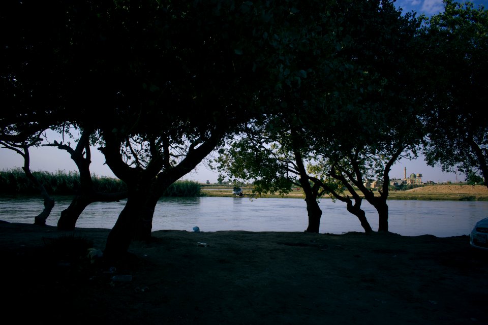VIews around Alton Kopri, a predominantly Turkoman town with a large Kurdish minority 12