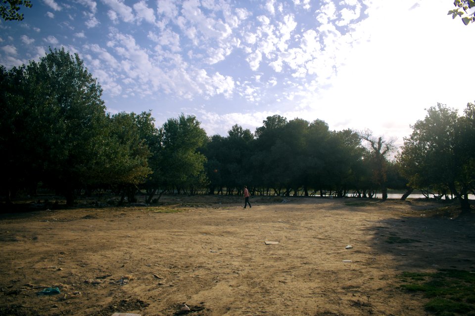VIews around Alton Kopri, a predominantly Turkoman town with a large Kurdish minority 11