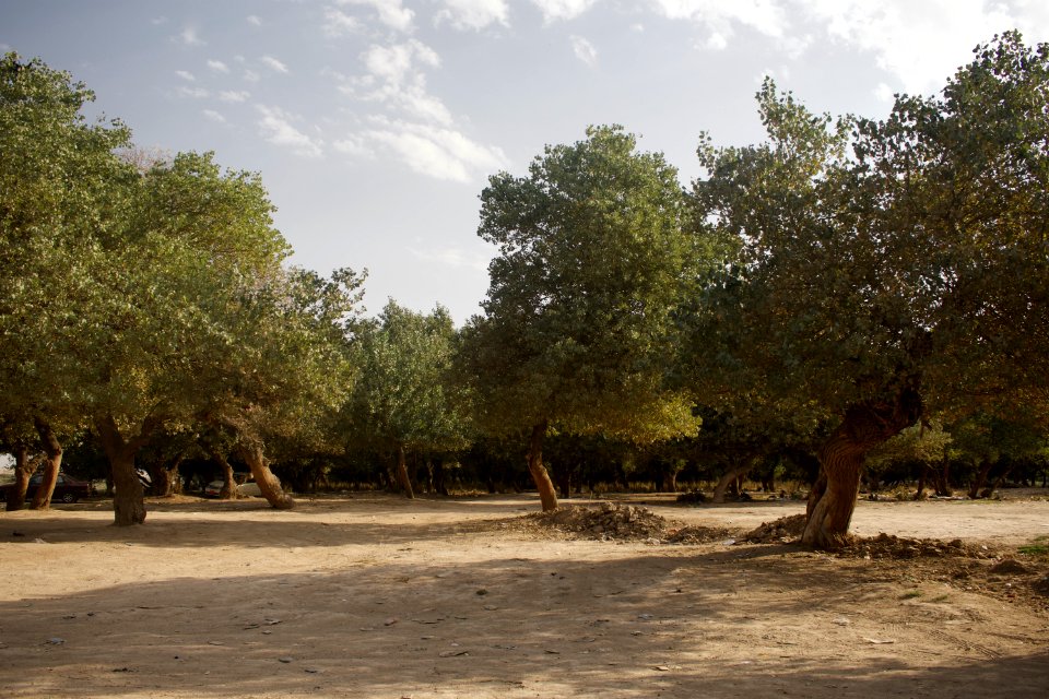VIews around Alton Kopri, a predominantly Turkoman town with a large Kurdish minority 03