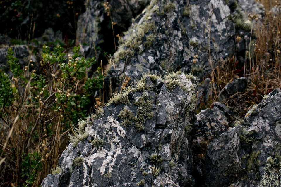 Views around Goat Rock in Sonoma County, California 04