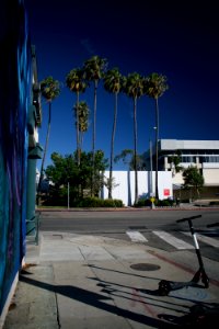 Views around the Pico neighborhood of Santa Monica 28