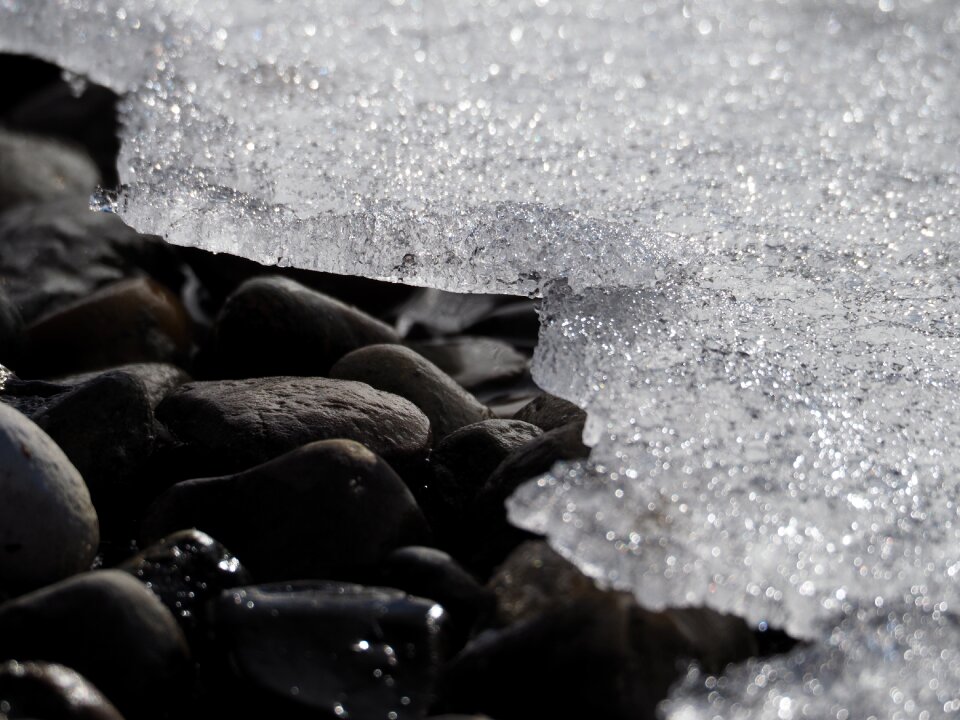 Winter sparkle frozen