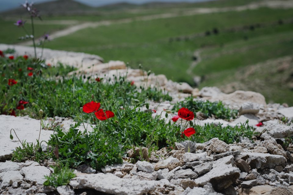 Views around the Yezidi shrine of Mame Reshan after its destruction by the Islamic State, in the Shingal mountains overlooking Shingal 29