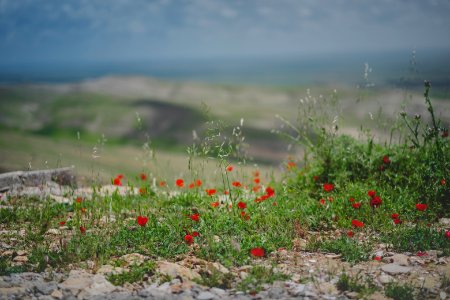 Views around the Yezidi shrine of Mame Reshan after its destruction by the Islamic State, in the Shingal mountains overlooking Shingal 25