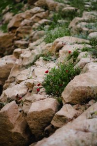 Views around the Yezidi shrine of Mame Reshan after its destruction by the Islamic State, in the Shingal mountains overlooking Shingal 10