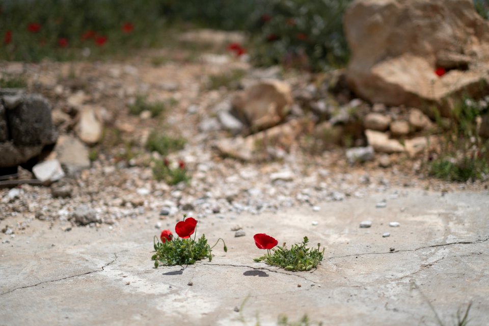 Views around the Yezidi shrine of Mame Reshan after its destruction by the Islamic State, in the Shingal mountains overlooking Shingal 24