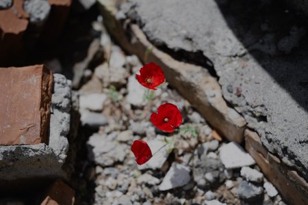 Views around the Yezidi shrine of Mame Reshan after its destruction by the Islamic State, in the Shingal mountains overlooking Shingal 28
