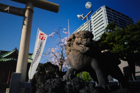 Views in April of 2019 at the Shinto shrine Minami-Senju Wakamiya Hachiman-gu 11