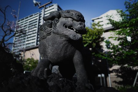 Views in April of 2019 at the Shinto shrine Minami-Senju Wakamiya Hachiman-gu 12