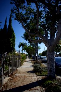 Views around the Pico neighborhood of Santa Monica 11