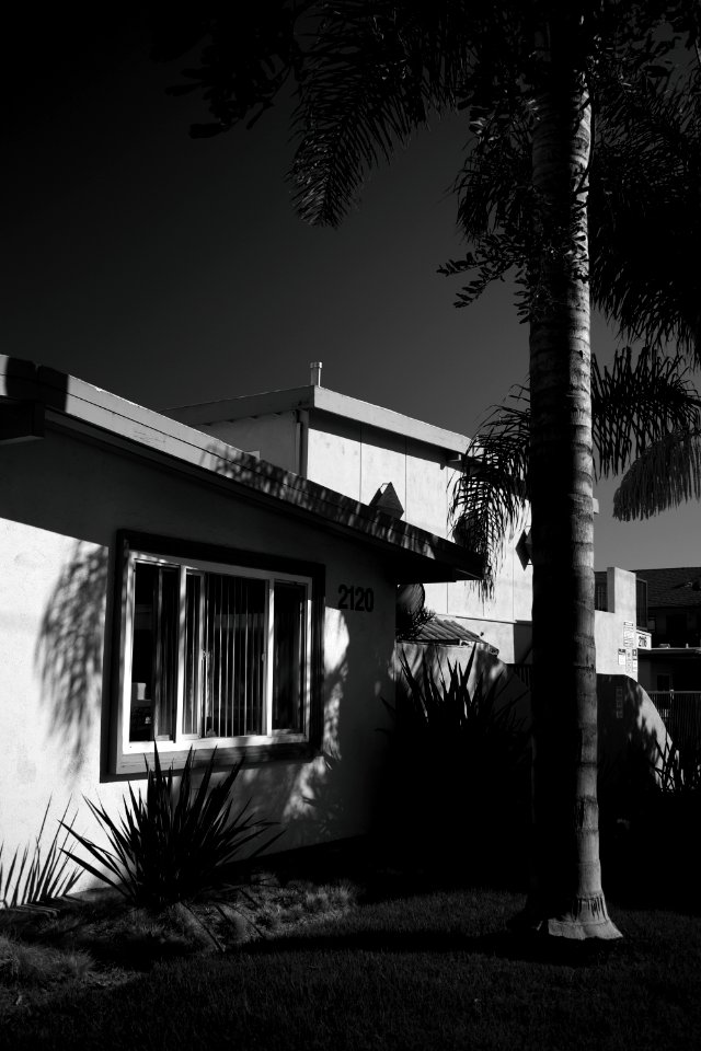 Views around the Pico neighborhood of Santa Monica 16