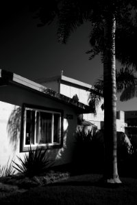 Views around the Pico neighborhood of Santa Monica 16