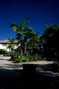 Views around the Pico neighborhood of Santa Monica 19