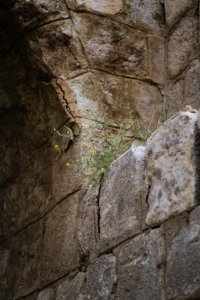 Views in April of 2019 around the historic "Roman Gate" in the ruins in the old city of Shingal 20