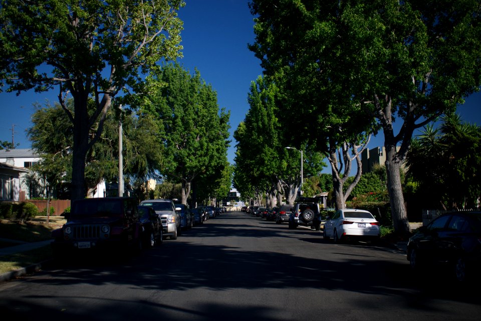 Views around the Pico neighborhood of Santa Monica 22