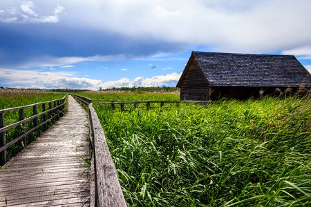 Nature conservation landscape nature