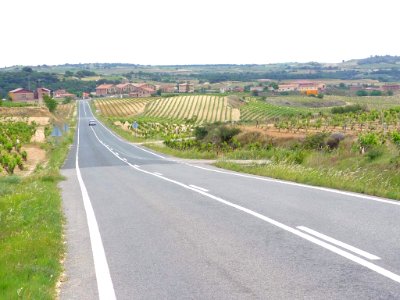 Villabuena - Viñedos 3