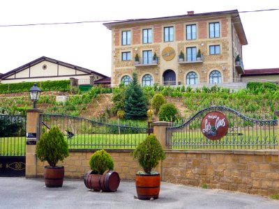 Villabuena - Bodegas Luis Cañas 4