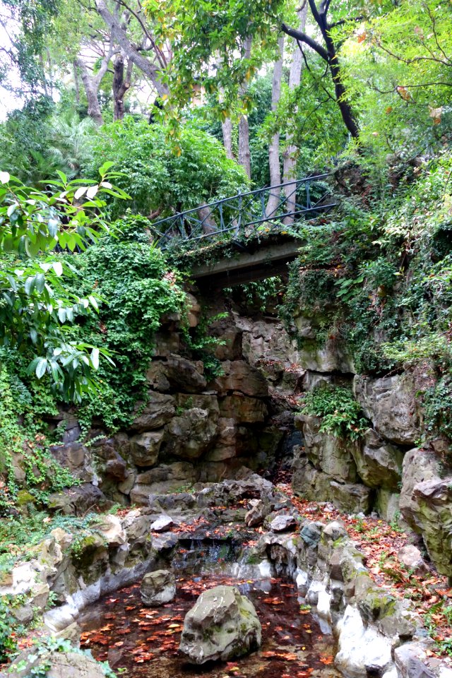 Villetta Di Negro (Genoa) - DSC02428