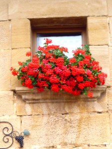 Villabuena - Ventanas 3
