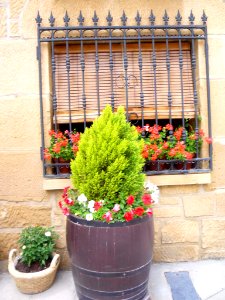 Villabuena - Ventanas 5