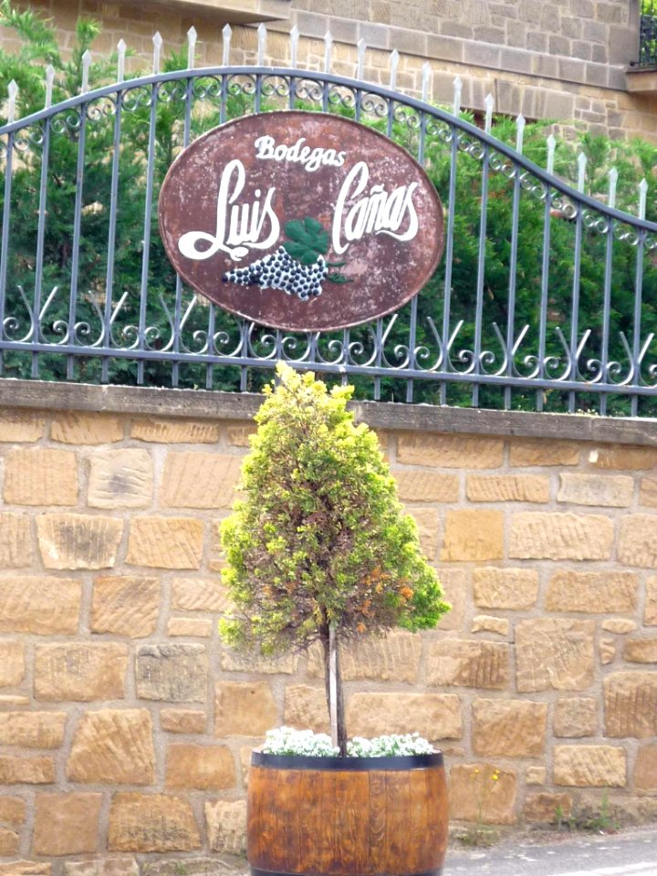 Villabuena - Bodegas Luis Cañas 6