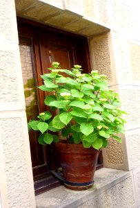 Villabuena - Ventanas 4