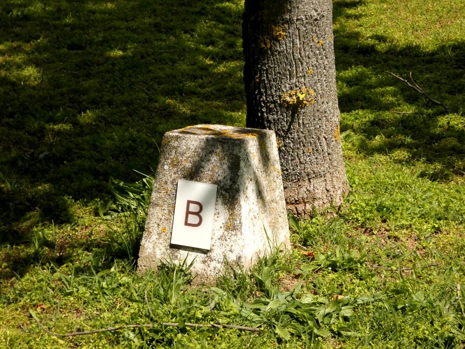 Villeurbanne - Avenue Albert Einstein - Nécropole nationale de la Doua - Carré B - Borne