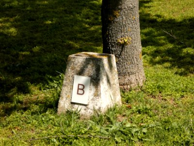 Villeurbanne - Avenue Albert Einstein - Nécropole nationale de la Doua - Carré B - Borne