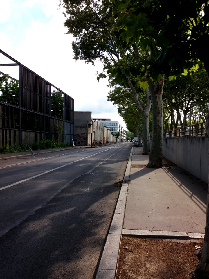 Villeurbanne - Avenue Albert Einstein, vers l'ouest, depuis le boulevard Niels Bohr