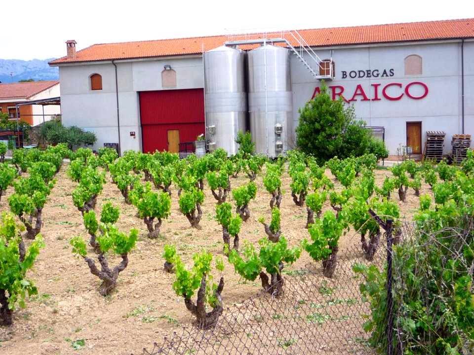 Villabuena - Bodegas Araico 3