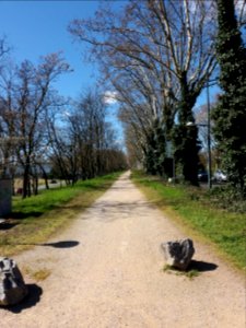Villeurbanne - Boulevard Laurent Bonnevay - Allée piétonne, vers l'ouest, depuis l'entrée Feyssine du campus de la Doua