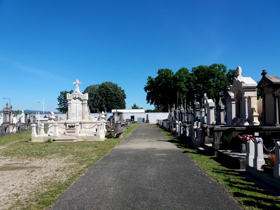 Villeurbanne - Ancien cimetière - Allée derrière l'allée 7