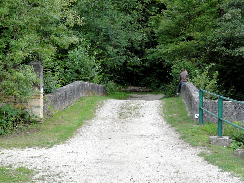 Ville-sur-Sault (Meuse) papeterie du château (05), pont de pierre sur la Saulx