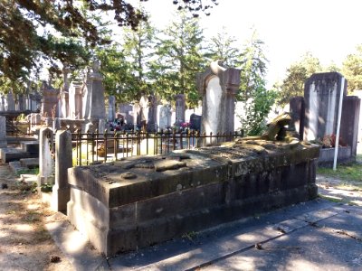 Villeurbanne - Ancien cimetière - Tombe perpétuelle n° 1295, signée Jean Mathelin (1893)