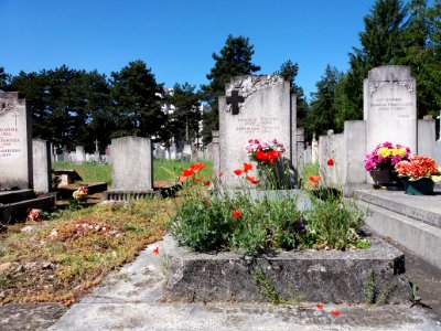 Villeurbanne - Ancien cimetière - Tombe de la famille Travin, avec des coquelicots