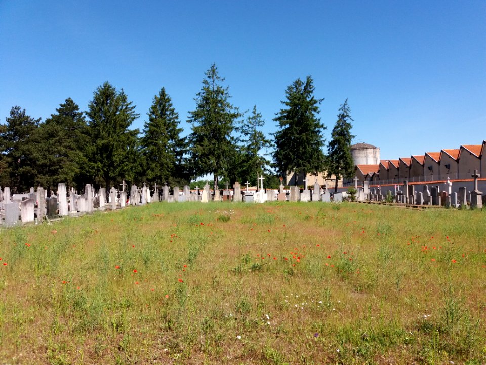 Villeurbanne - Ancien cimetière - Carré de terrain vague entre les tombes