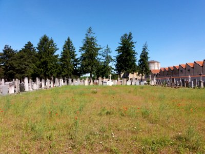 Villeurbanne - Ancien cimetière - Carré de terrain vague entre les tombes