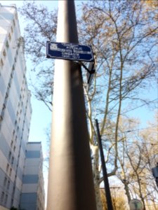 Villeurbanne - Avenue Roberto Rossellini, plaque