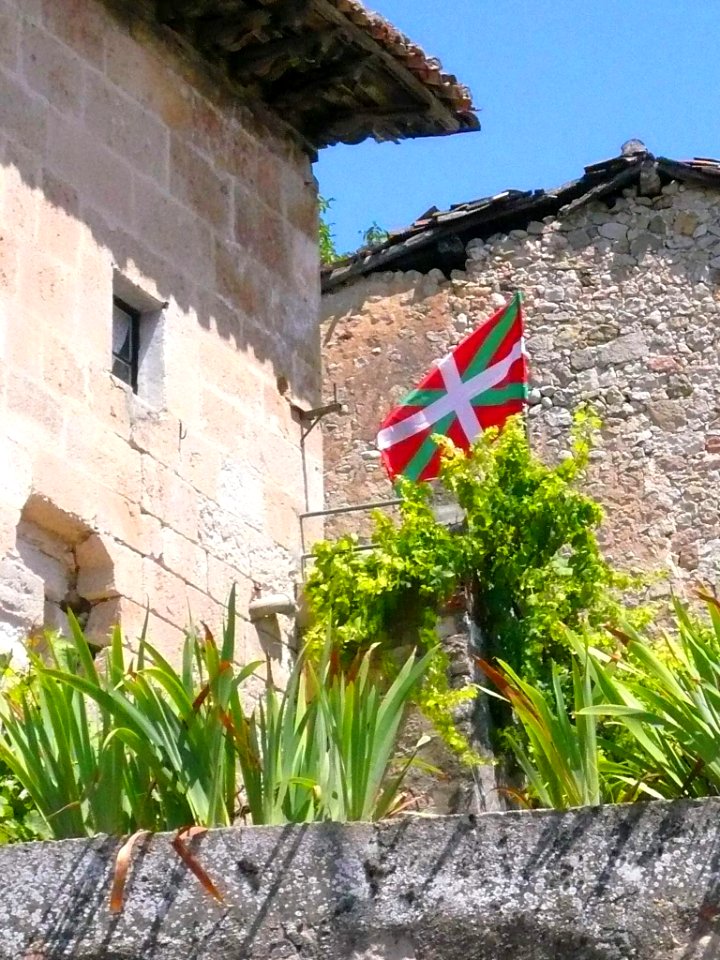 Villanueva de Valdegovía - Palacio de los Angulo 1