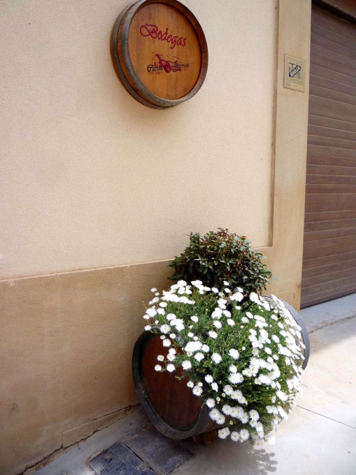 Villabuena - 15